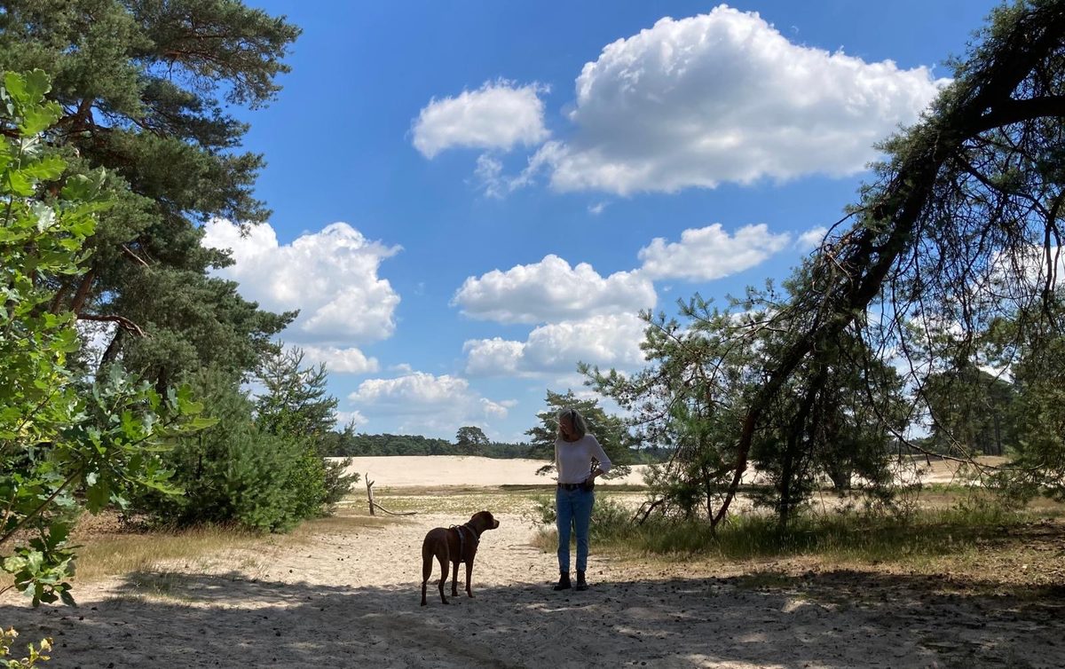Wandeling in de Sahara bij Ommen