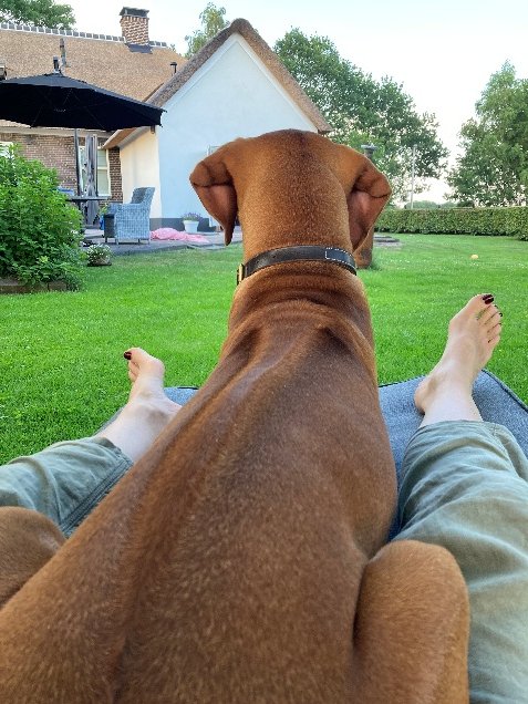 Vanaf schoot gezien: Pip kijkt uit over de tuin