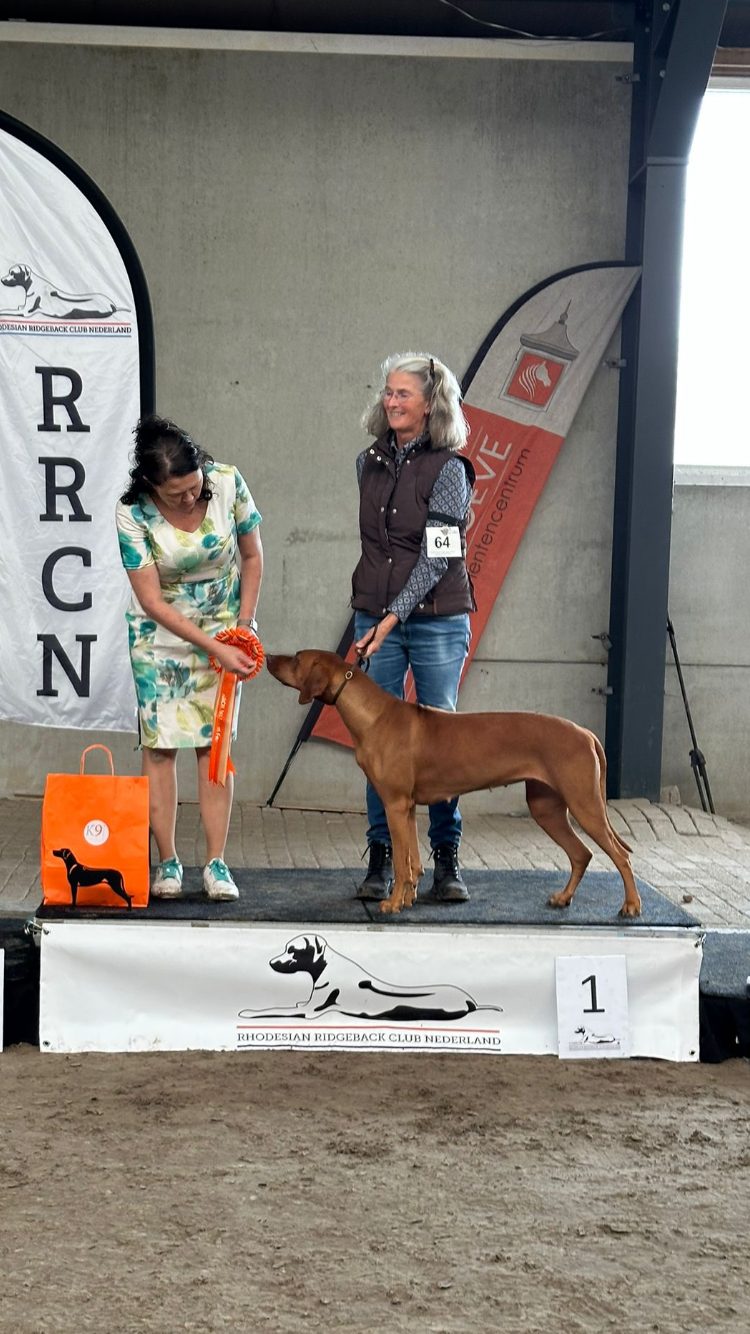 Clubmatch Nederland, Reserve CAC