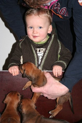 Jesse als kind samen met de pups